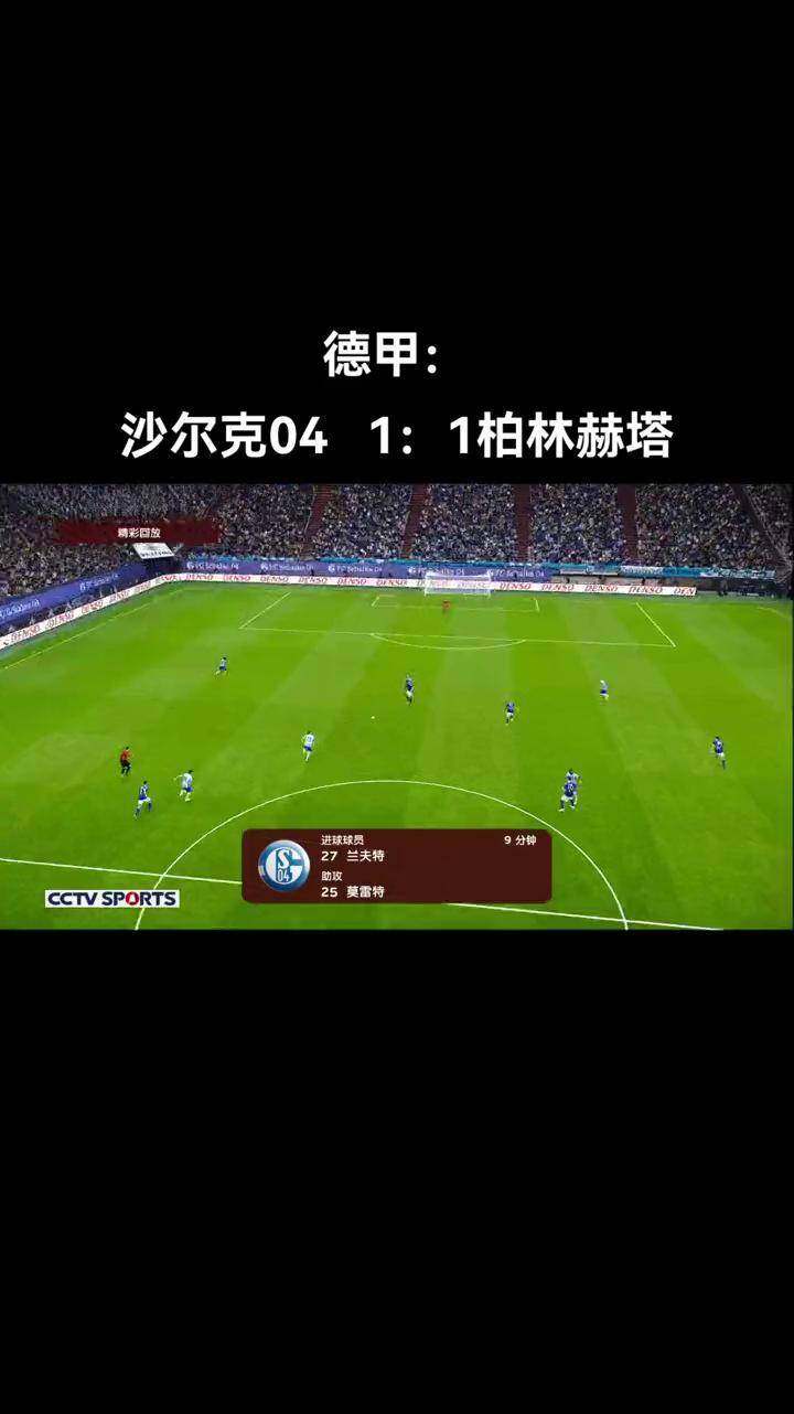 关于沙尔克主场表现出色，战胜对手的信息